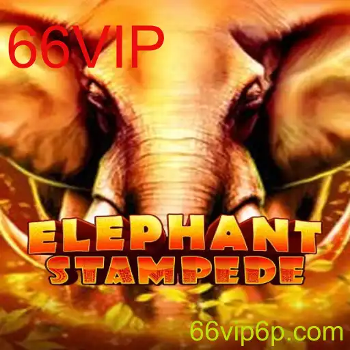Descubra ElephantStampede: O Novo Fenômeno dos Jogos de Tabuleiro com 66VIP