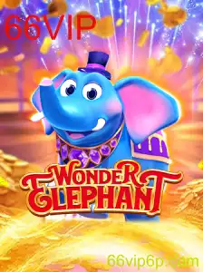 Descubra o Fascinante Mundo de WonderElephant e as Regras do Enigma 66VIP